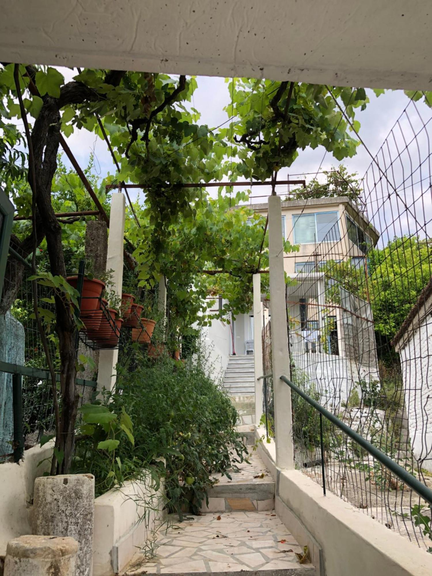 הוילה Delvine Lili'S House מראה חיצוני תמונה